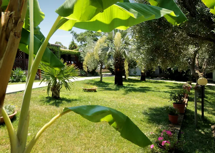 Tonicello Hotel Resort & Spa Capo Vaticano